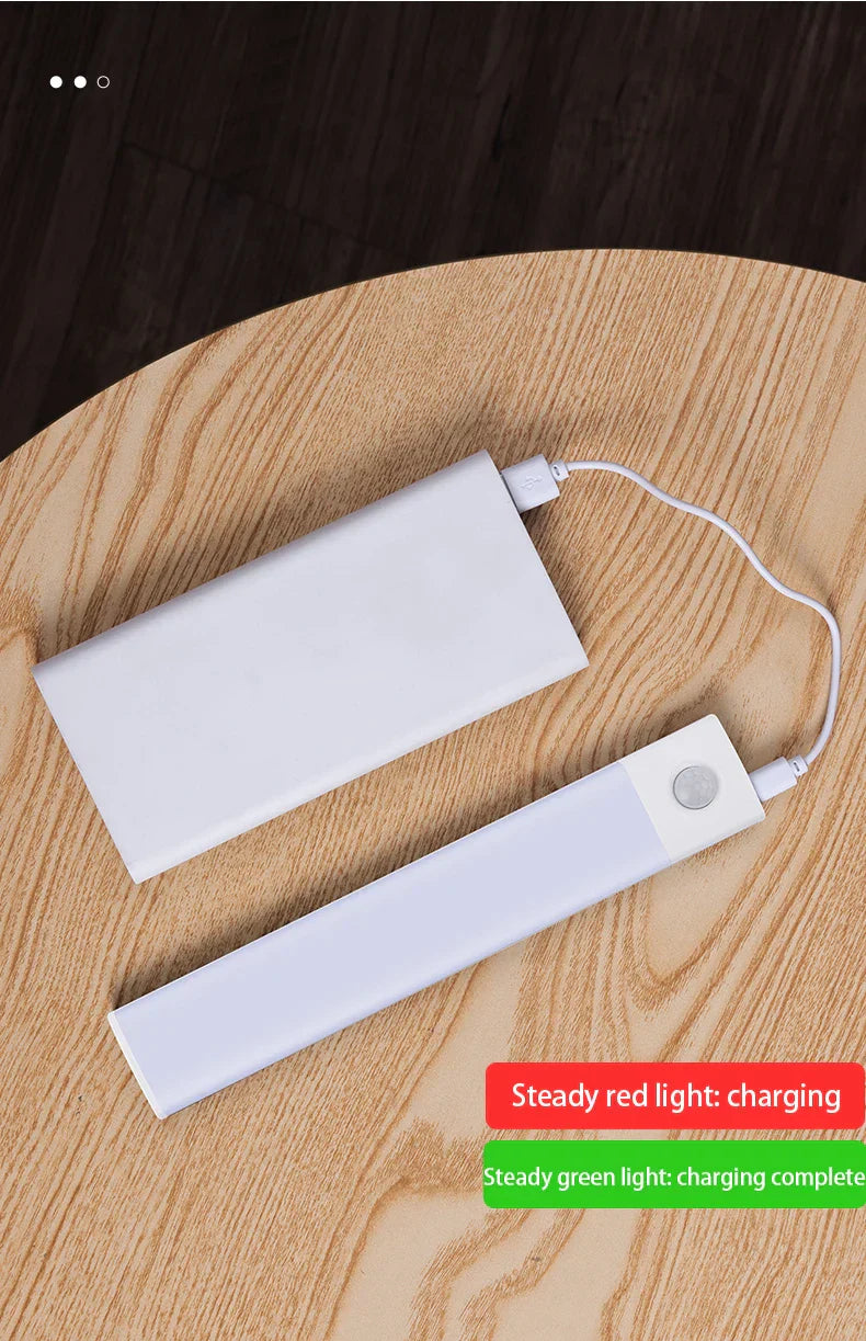 Motion Sensor Light