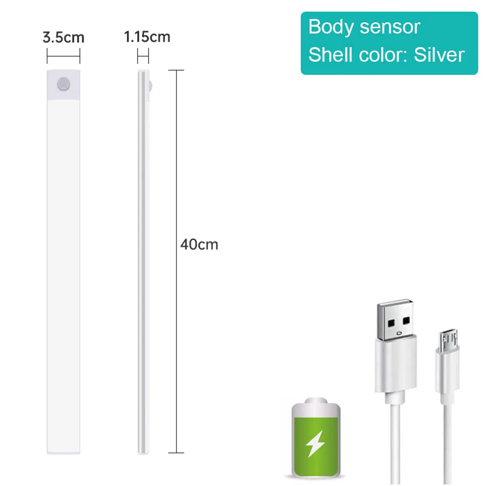 Motion Sensor Light