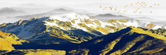 Landscape Canvas Painting