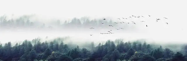 Landscape Canvas Painting