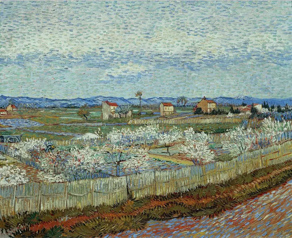 Starry Night Canvas Paintings