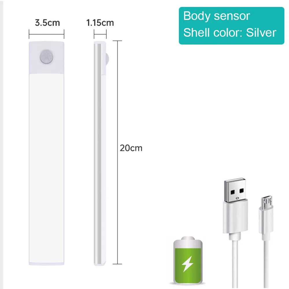 Motion Sensor Light